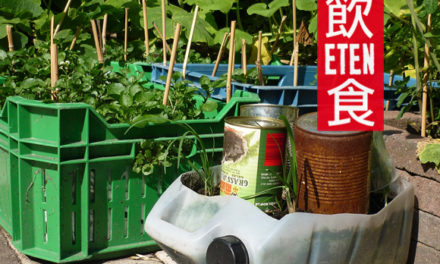 Op zoek naar het Chinese thuisgevoel