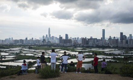 Nederland bundelt krachten voor Ecocity Shenzhen