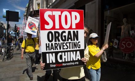 Undercover bij de Falungong in New York