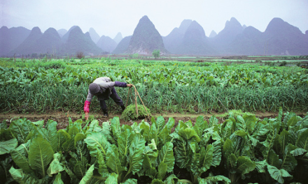 De veranderende cultuur van het Chinese platteland