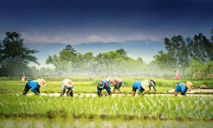 Bottom-up bewegingen in een top-down systeem