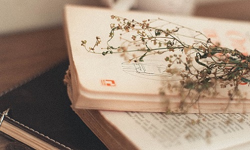 Realiteit versus verbeelding